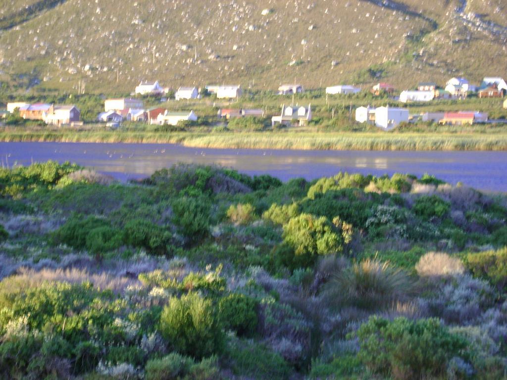 Appartement Vlei Studio à Bettyʼs Bay Extérieur photo